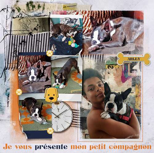 Je vous présente mon petit compagnon