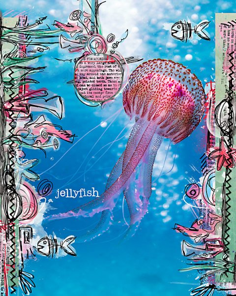 jellyfish