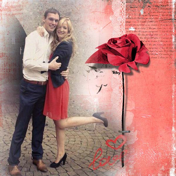 jopked_cartsrosered_c6kopie