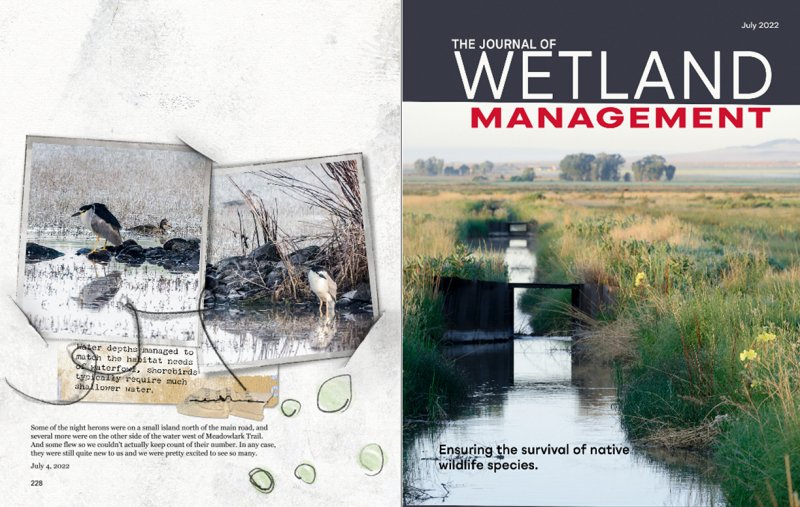 Journal of Wetland Management
