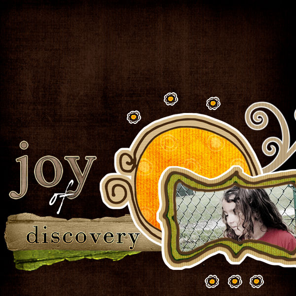 - Joy of Discovery -