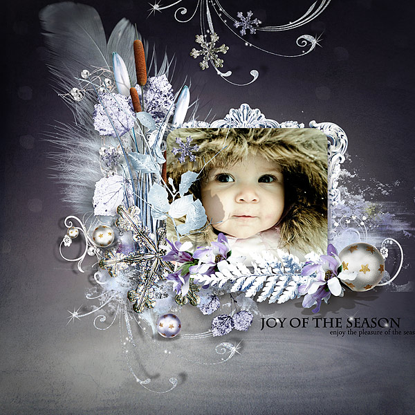 joy of the seasons