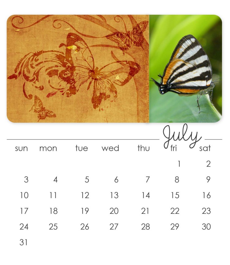 July 2011 CD Calendar