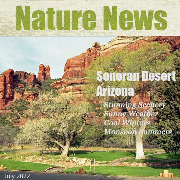 July Challenge 1  Nature News Magazine Cover