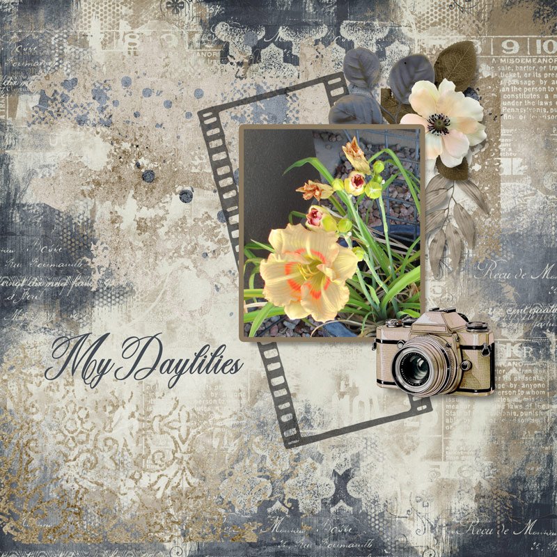 July Challenge #1 - Through The Lens - Macro - Kay