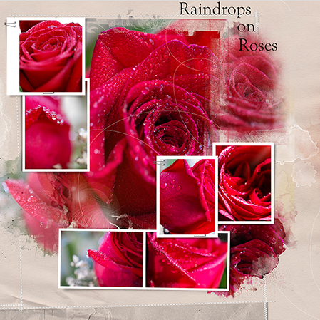 July Challenge #7 Multiple Photos - Raindrops on Roses