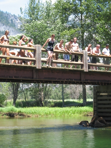 Jumping Bridge