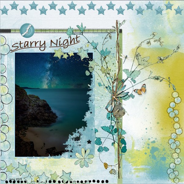 June 2025 Challenge - 5 - Color Palette-Starry Night.jpg