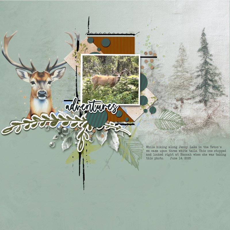 June Challenge #4 - 52 inspirations adventures.jpg
