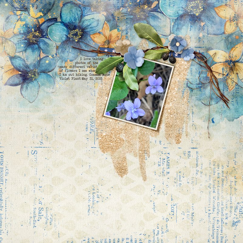 June Challenge #5 - Color Palette common-blue-violet.jpg