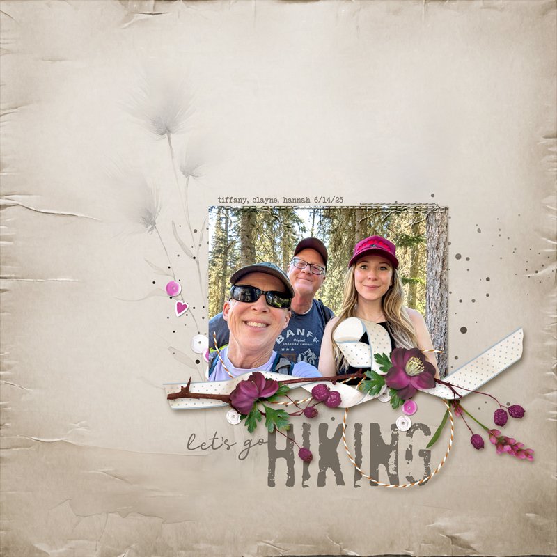 June Challenge # 6 - Creative Techniques lets-go-hiking.jpg