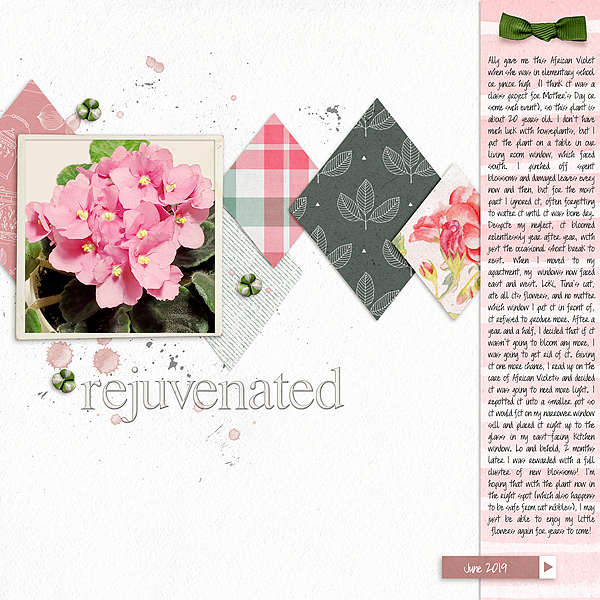 June Momma O Challenge