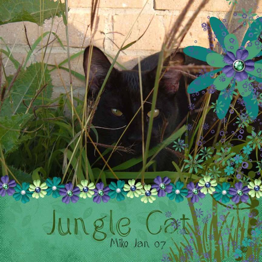 Jungle Cat