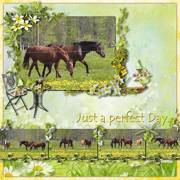 Just A Perfect Day