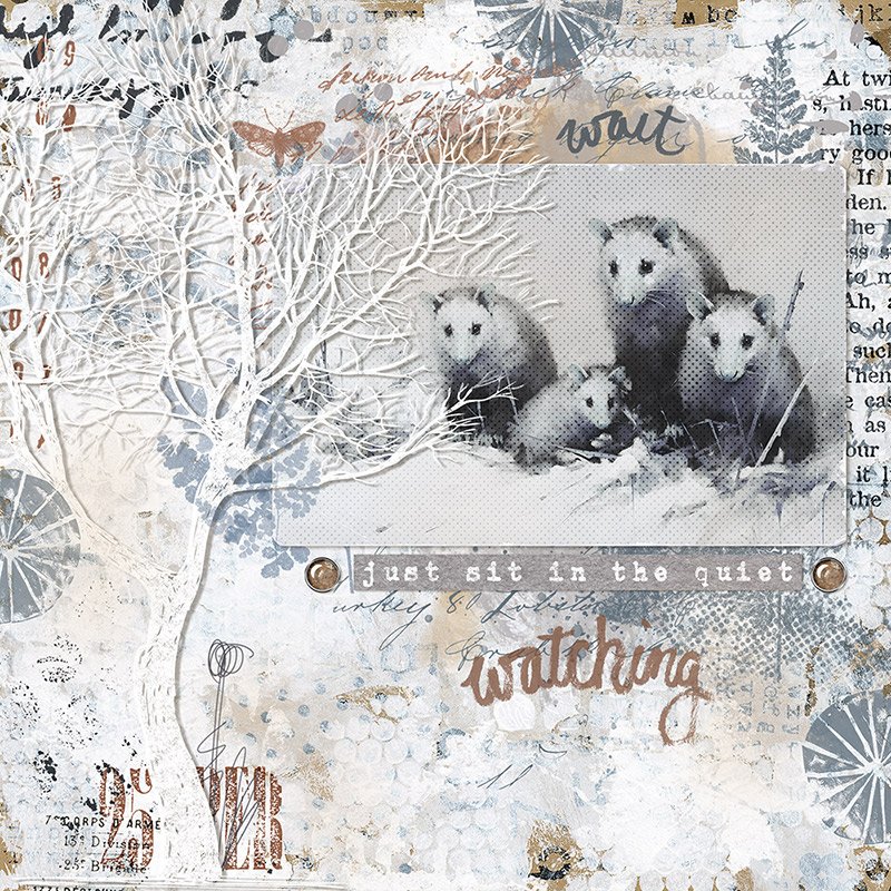 Just sit in the quiet