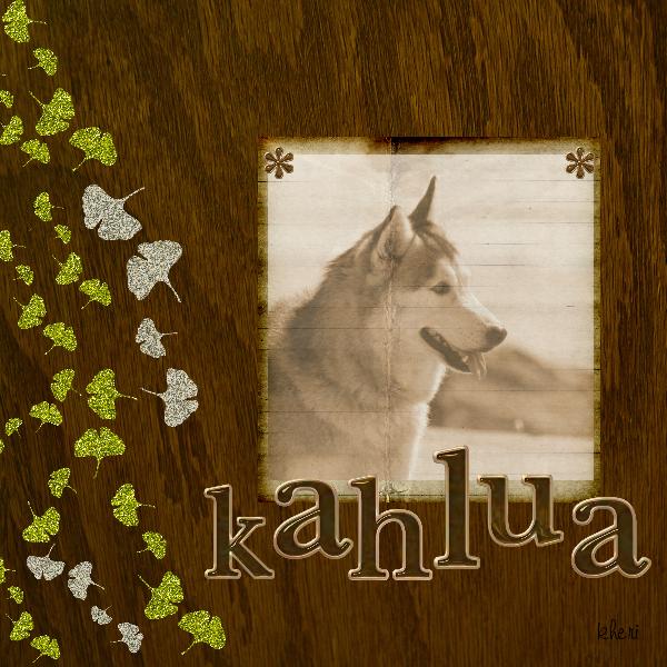 Kahlua