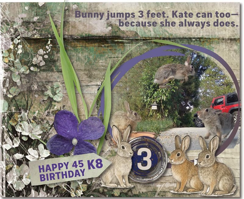 Kate's 45th Birthday
