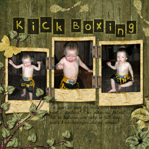 Kick-boxing