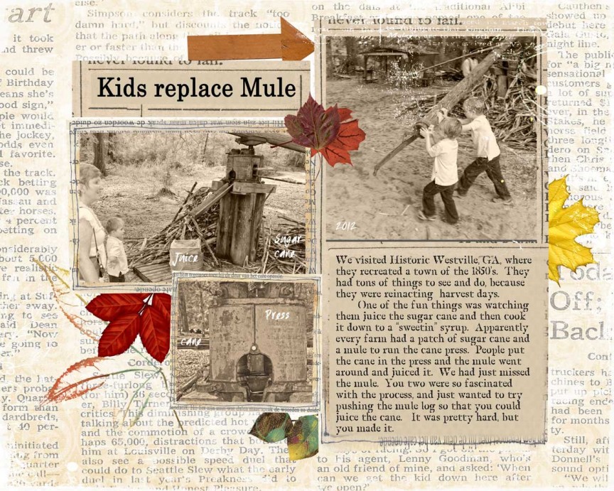 kid replace mule nov challenge