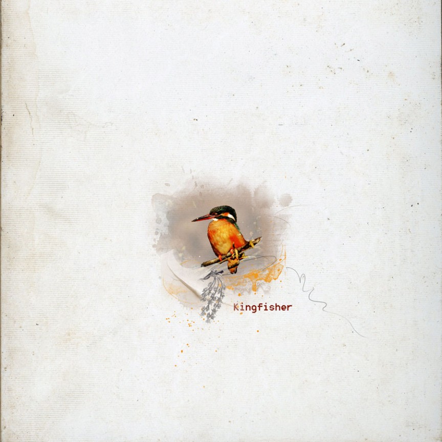 Kingfisher AnnaLIFT 8.22.15 - 8.28.15*