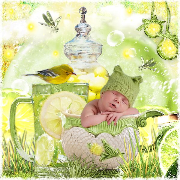 Kitty_Scrap_acidulate_fairyWorld2