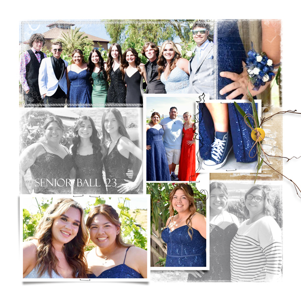 KK-Prom_AASPN_FotoInspiredTemplatePack2W_4.jpg