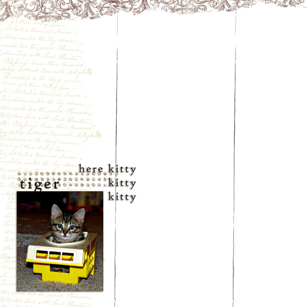 kNov4-copy