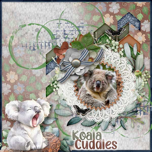 Koala Cuddles