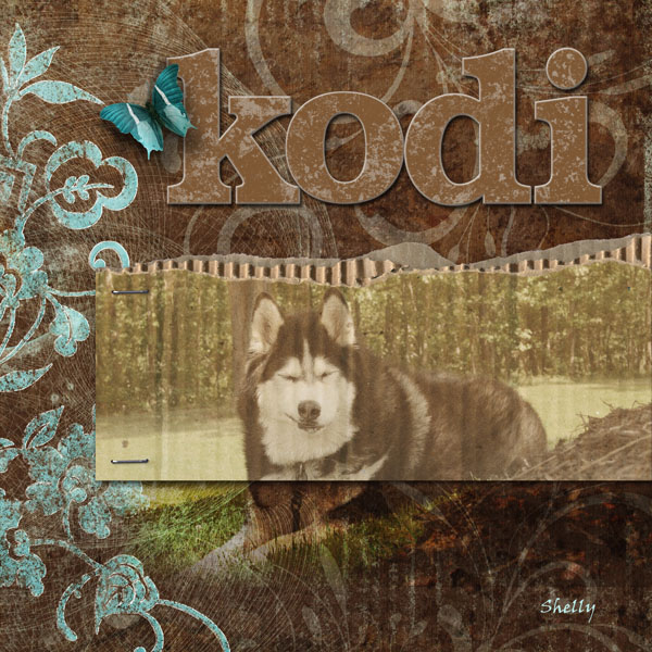Kodi