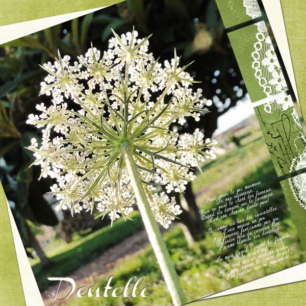 Lacework