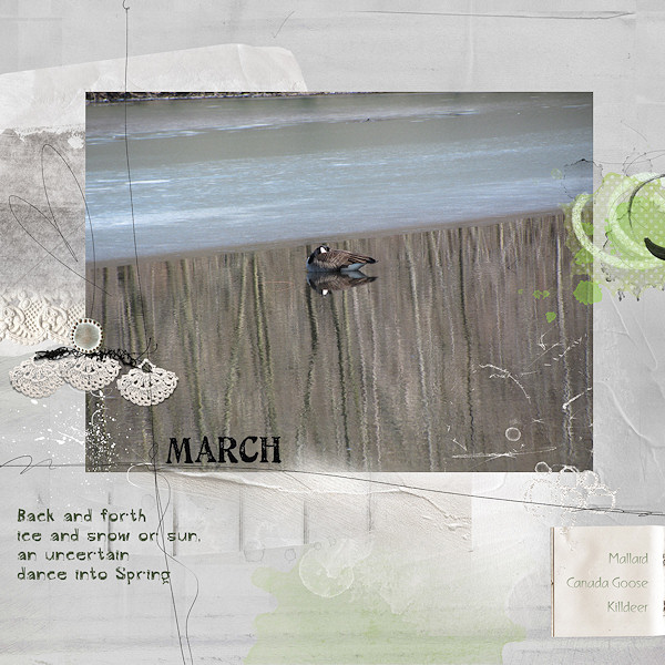 Ladder 8 - March: Uncertain Spring - left