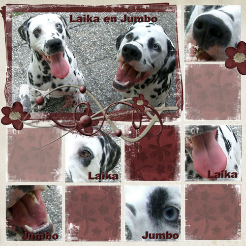 Laika en Jumbo