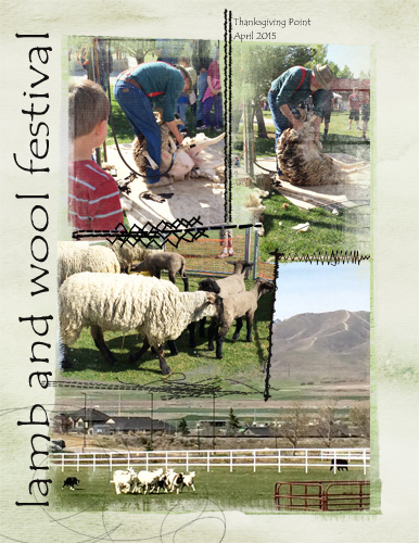 Lamb & Wool Festival