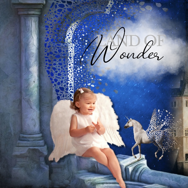 Land of Wonder-Lynne Anzelc Design