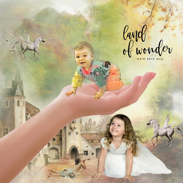 Land of Wonder-Lynne Anzelc Design