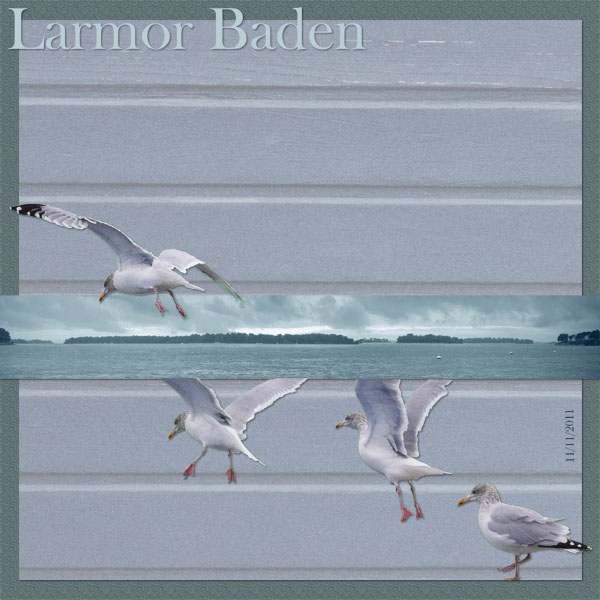 Larmor Baden