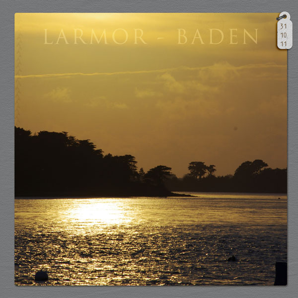 larmor baden