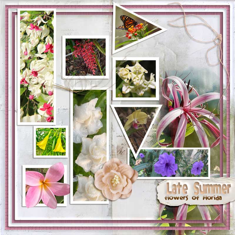 late-summer-flowers.jpg