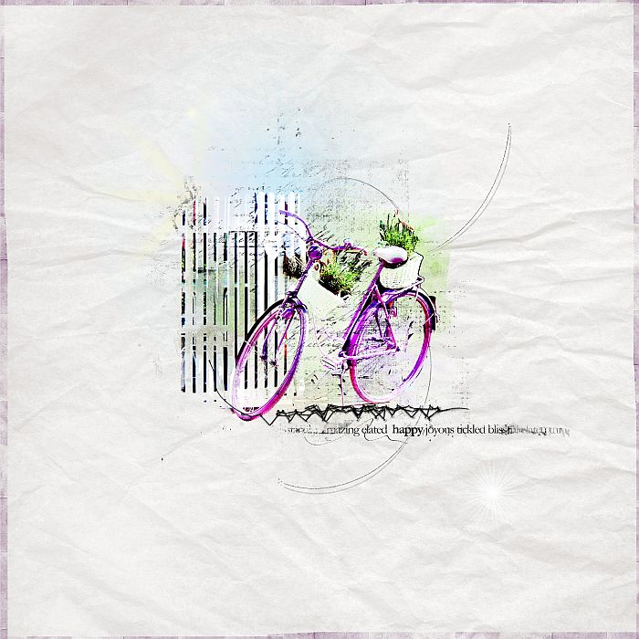 Lavender bike