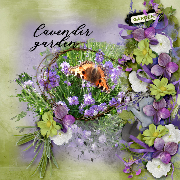 Lavender-garden.jpg