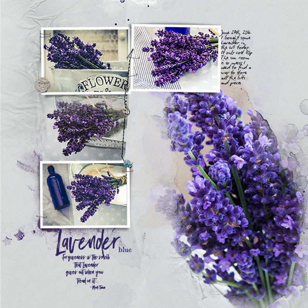 Lavender