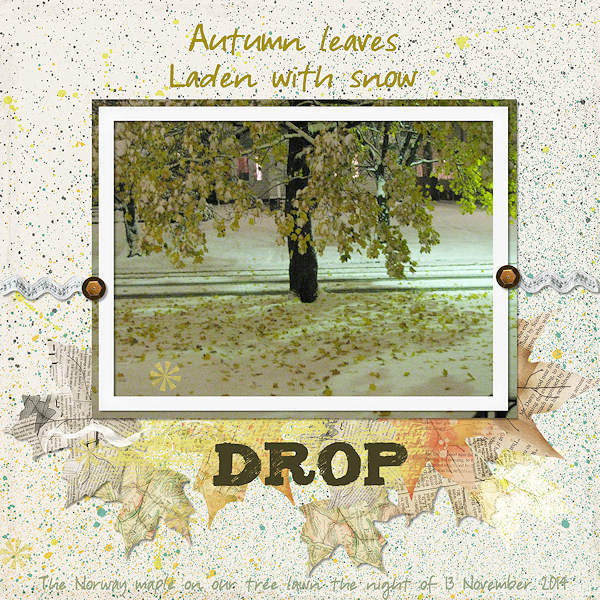 Leaves Drop