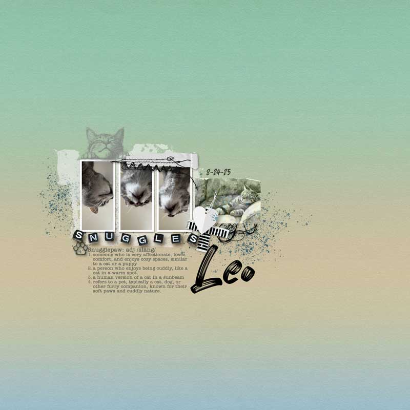 Leo.jpg