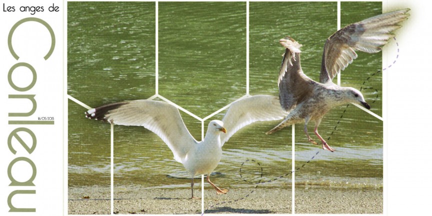 Les anges de Conleau