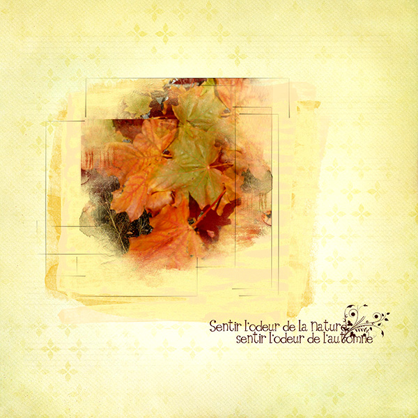 Les_feuilles_d'rables_