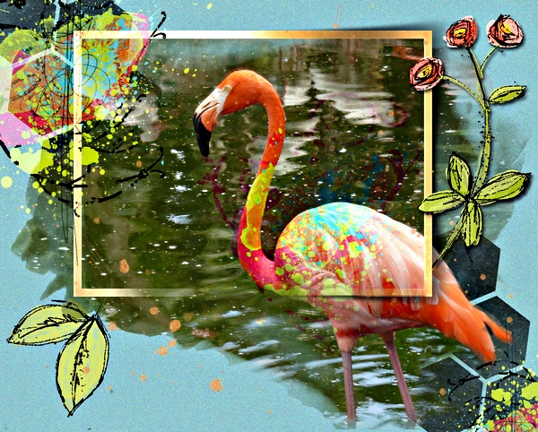 Let's paint with the Flamingos!