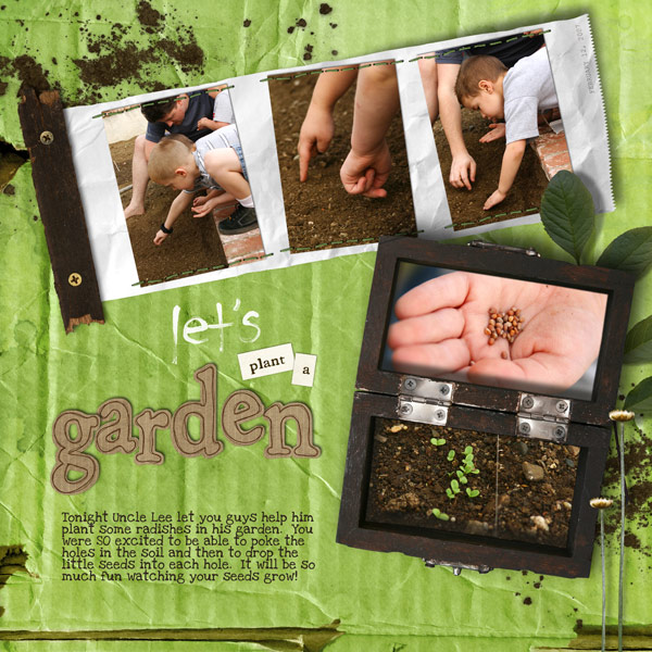 Let's Plant a Garden