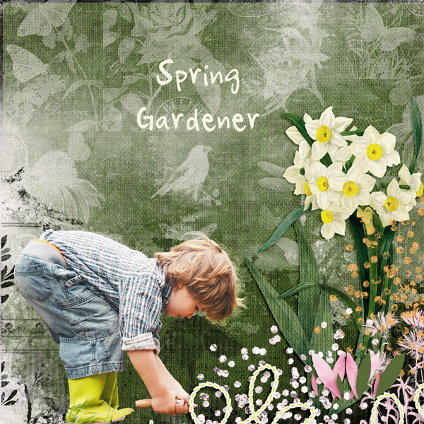 letter-to-spring-1.jpg