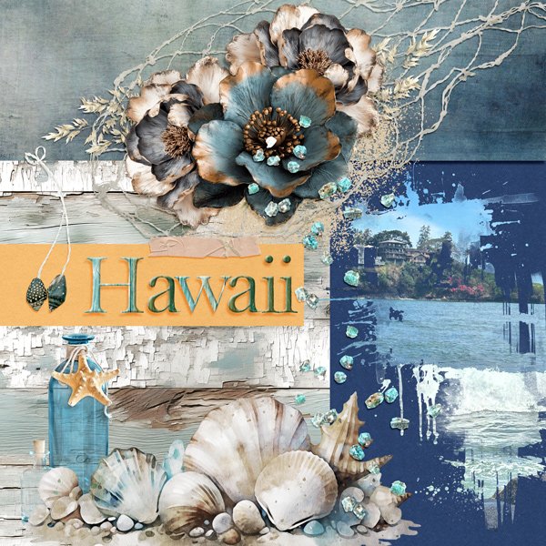 Life-At-The-Shoreline2.jpg