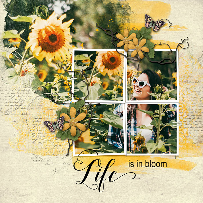 Life In Bloom